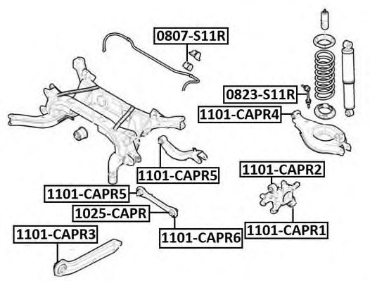 Купить запчасть Asva - 1101CAPR1 Сайлентблок цапфы нижний зад прав/лев CHEVROLET CAPTIVA 2006-OPEL ANTARA 2006-