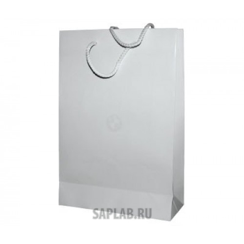 Купить запчасть BMW - 80502452050 Бумажный подарочный пакет BMW Paper Bag, White, Size S