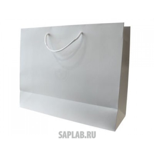 Купить запчасть BMW - 80502452051 Бумажный подарочный пакет BMW Paper Bag, White, Size M