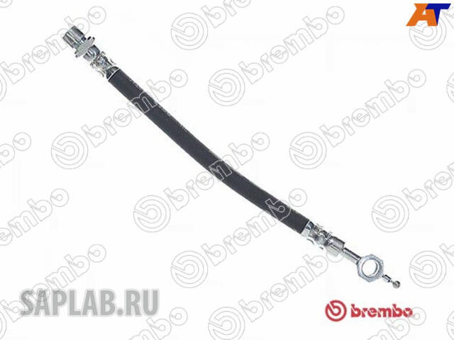 Купить запчасть Brembo - T83117 Шланг тормозной зад прав/лев TOYOTA COROLLA Verso (_E12J_) (01<->04)