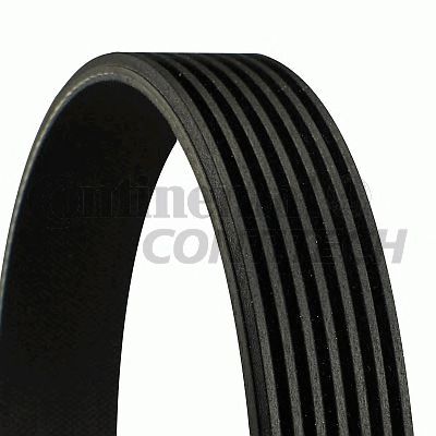 Купить запчасть CONTITECH - 7PK1770 