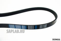 Купить запчасть DONGIL - 4PK815 Ремень приводной 4PK815 (HYUNDAI ELANTRA XD/VERNA 05-)