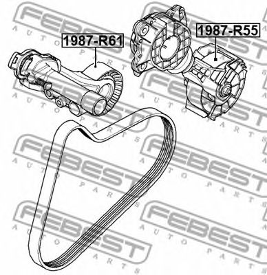 Купить запчасть FEBEST - 1987-R55 Ролик натяжной 1987-R55