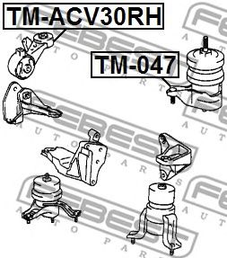 Купить запчасть Febest - TMACV30RH Подушка двигателя прав TOYOTA CAMRY (JPP) ACV30/MCV3# 2001.07-2006.01 [US]