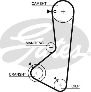 Купить запчасть Gates - 5256XS Ремень ГРМ Hyundai Sonata 1.8, 2.0 88-98/ Mitsubishi Galant 4G63 87-92