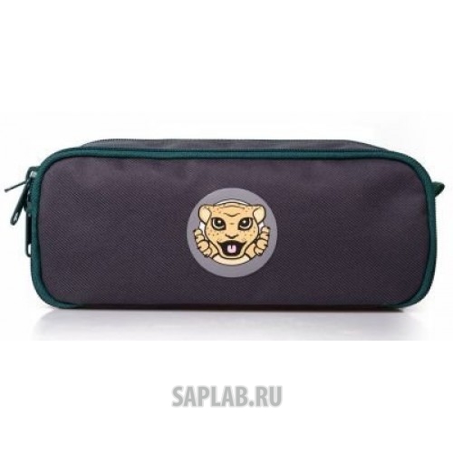 Купить запчасть JAGUAR - JDGF833GYA Детский пенал Jaguar Kids Pen Case, Grey/Green, артикул JDGF833GYA