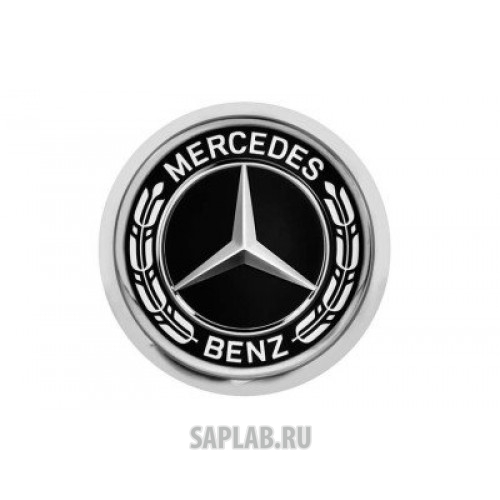 Купить запчасть MERCEDES - B66953551 Значок Mercedes-Benz Pin, Laurel Leaf Badge, Silver-coloured / Black