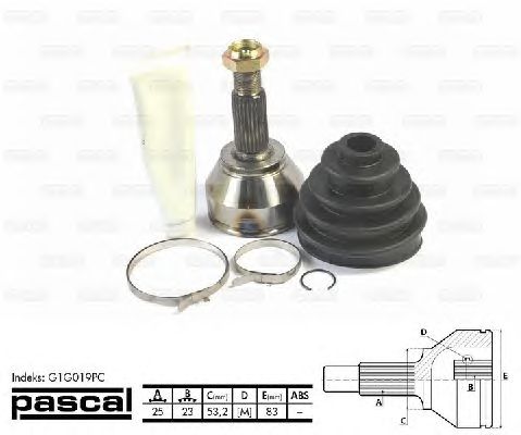Купить запчасть PASCAL - G1G019PC 