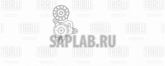 Купить запчасть TRIALLI - CM5350 Ролик привод. ремня с натяж. мех. Peugeot 307 (00-) 2.0i 16V (CM 5350)