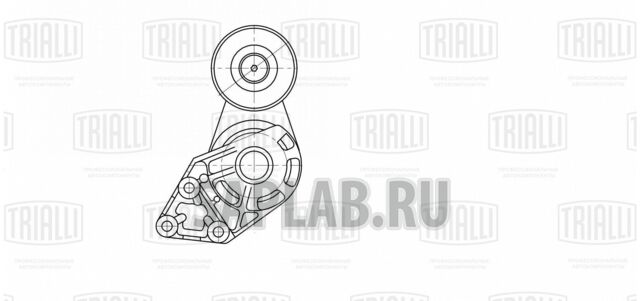 Купить запчасть TRIALLI - CM5439 Ролик привод. ремня с натяж. мех. для а/м Skoda Fabia (03-) 1.4 (CM 5439)