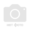 Augustin Group 2990006