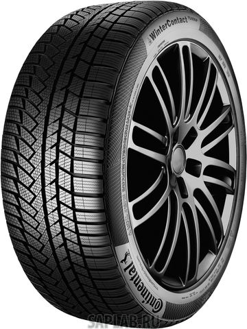 Купить запчасть CONTINENTAL - 0353464 Шины Continental CONTIWINTERCONTACT TS 830 225/50R17 94H MO