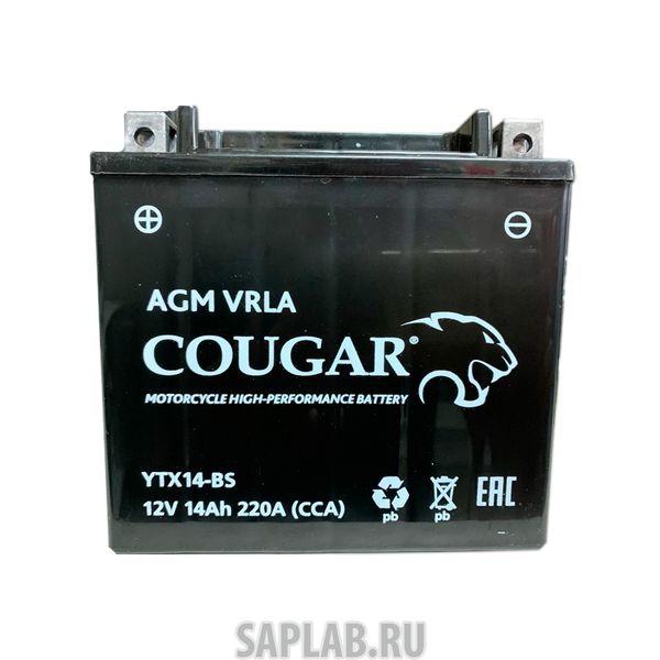 Купить запчасть  COUGAR - YTX14BS Аккумулятор мотоциклетный Cougar AGM YTX14-BS 12V 14Ah (залит и готов к применению)