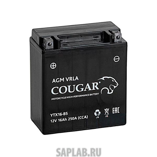 Купить запчасть  COUGAR - YTX16BS Аккумулятор мотоциклетный Cougar AGM YTX16-BS 12V 16Ah (залит и готов к применению)