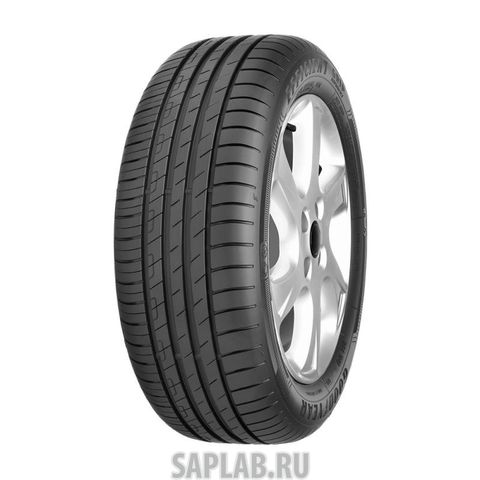 Купить GOODYEAR 574284 Шины GOODYEAR PERFORMANCE + XL 255/35 R19 V 96 UG