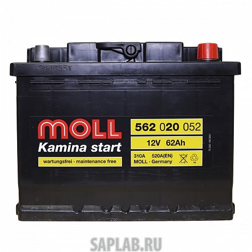 Купить запчасть  MOLL - 562020051 Аккумулятор MOLL Kamina Start 62R 520A 242x175x190 562020051