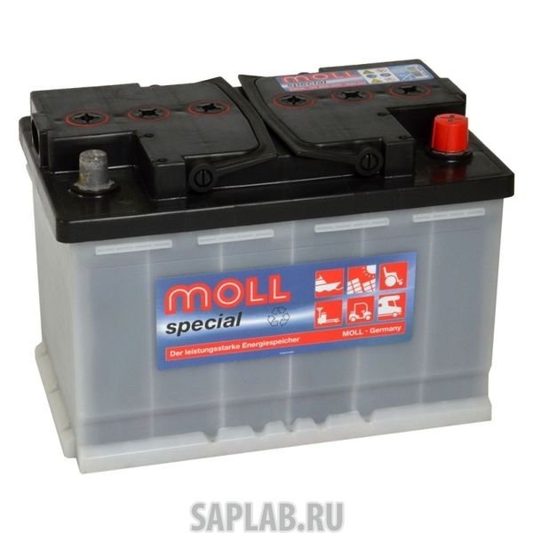 Купить запчасть  MOLL - 668 Аккумулятор MOLL Special EFB 80