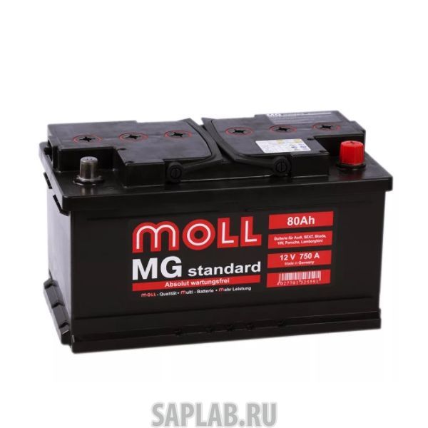 Купить запчасть  MOLL - 80RS750A Аккумулятор MOLL MG Standard 80RS 750A 315x175x175