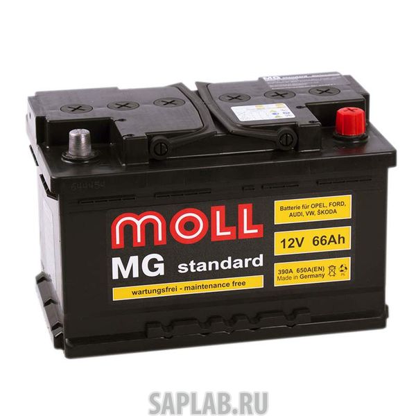 Купить запчасть  MOLL - MG66SR Аккумулятор MOLL MG 66SR 613