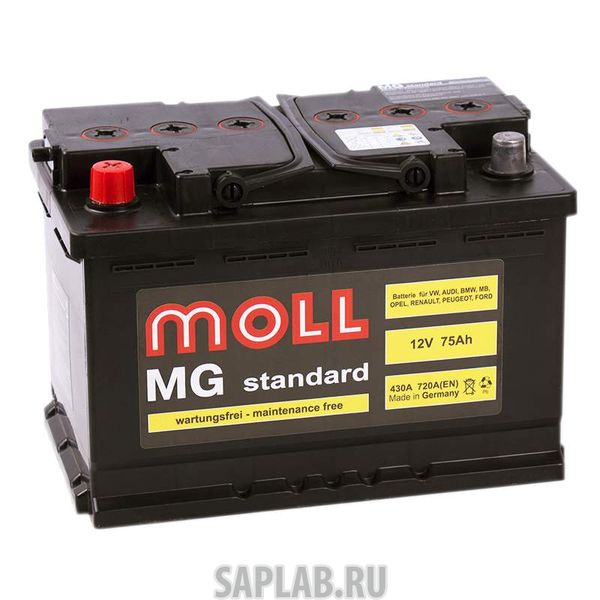 Купить запчасть  MOLL - MG75L Аккумулятор MOLL MG 75L 614