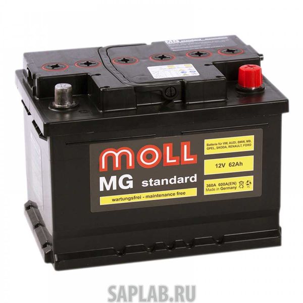 Купить запчасть  MOLL - MGSTANDARD62L Аккумулятор MOLL MG Standard 62L 600A 242x175x190